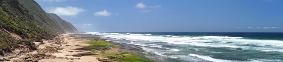 Fossil Dunes